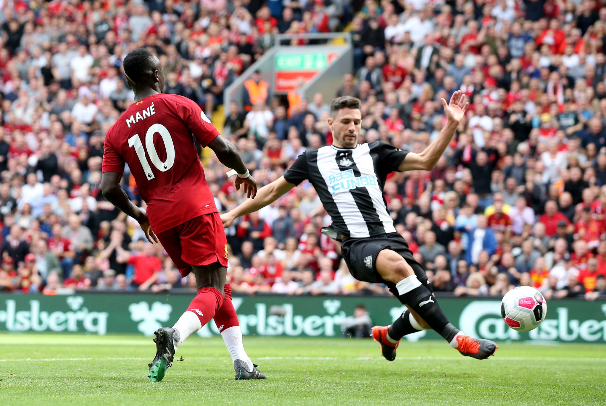 观赏性与心 观赏性与心